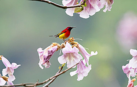 xổ số miền nam thứ 3
